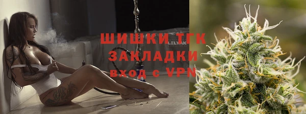 прущие грибы Россошь