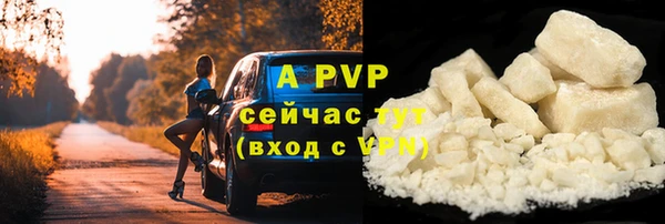 прущие грибы Россошь