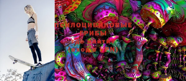 прущие грибы Россошь