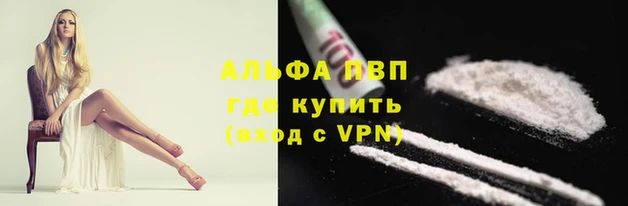 ПСИЛОЦИБИНОВЫЕ ГРИБЫ Рославль