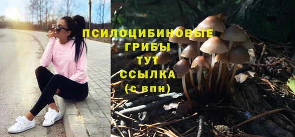ПСИЛОЦИБИНОВЫЕ ГРИБЫ Рославль
